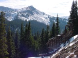 Old Gold Mine
